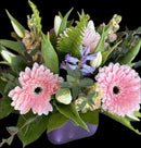 Spring Charm